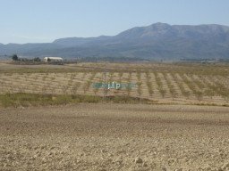 Fotos Noticias 2010